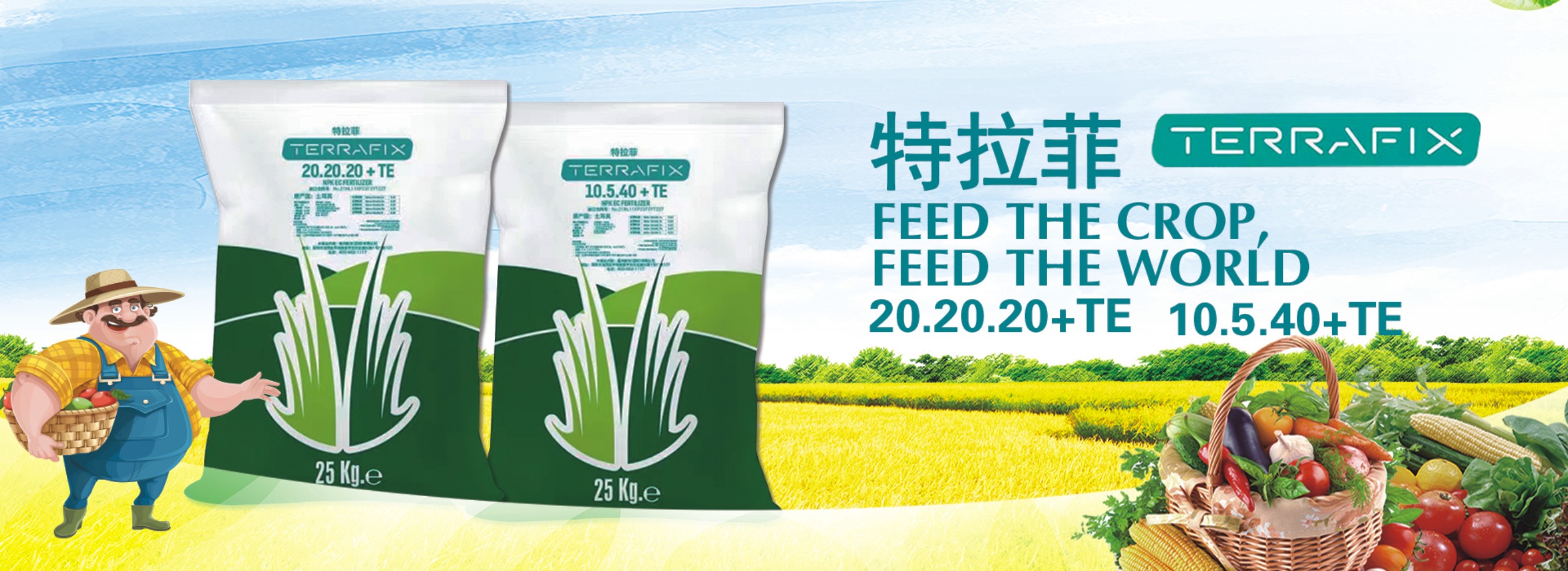 天然調味料 農学博士 越智宏倫著 地域食材大百科 第7巻 | NDLサーチ | 国立国会図書館